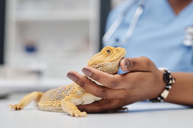 How Family Dentistry Creates A Comfortable Experience For Adults Too How Family Dentistry Creates A Comfortable Experience For Adults Too